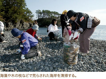 海藻や木の枝などで荒らされた海岸を清掃する。