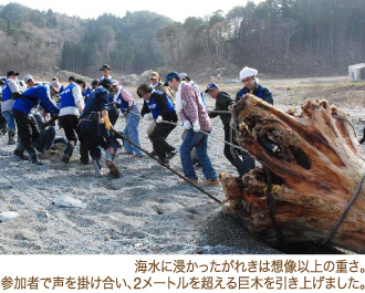 海水に浸かったがれきは想像以上の重さ。参加者で声を掛け合い、2メートルを超える巨木を引き上げました。