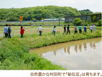 自然豊かな村田町で「秘伝豆」は育ちます。