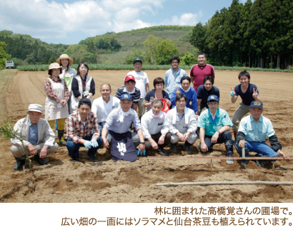 林に囲まれた高橋覚さんの圃場で。広い畑の一画にはソラマメと仙台茶豆も植えられています。