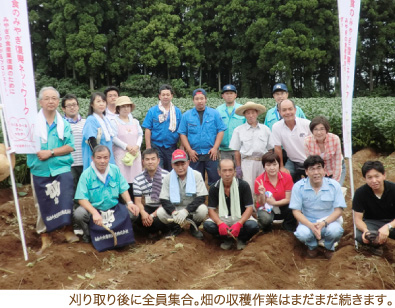 刈り取り後に全員集合。畑の収穫作業はまだまだ続きます。