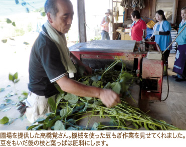 圃場を提供した高橋覚さん。機械を使った豆もぎ作業を見せてくれました。豆をもいだ後の枝と葉っぱは肥料にします。