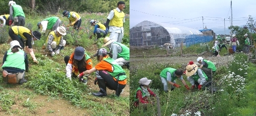 福井県民_ボトム.jpg