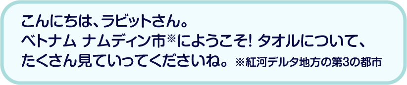 こんにちは、ラビットさん。ベトナム ナムディン市※にようこそ！ タオルについて、たくさん見ていってくださいね。 ※紅河デルタ地方の第3の都市