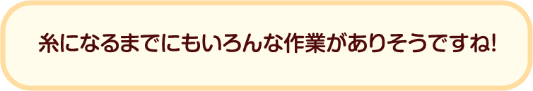 糸になるまでにもいろんな作業がありそうですね！