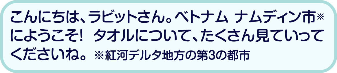 こんにちは、ラビットさん。ベトナム ナムディン市※にようこそ！ タオルについて、たくさん見ていってくださいね。 ※紅河デルタ地方の第3の都市