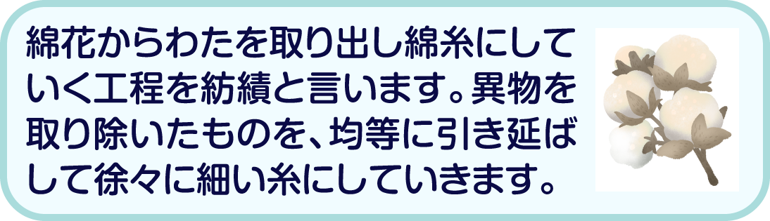 綿花からわたを取り出し綿糸にしていく工程を紡績と言います。異物を取り除いたものを、均等に引き延ばして徐々に細い糸にしていきます。