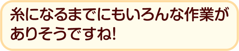 糸になるまでにもいろんな作業がありそうですね！