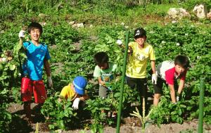 fukushima-children-recreation-2016-02.jpg