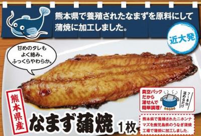 kindai-catfish.JPG