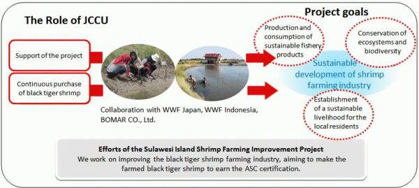 sulawesi-shrimp-project-chart.JPG