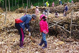 2019 Co-op Forest in Maesawaseibo.jpg