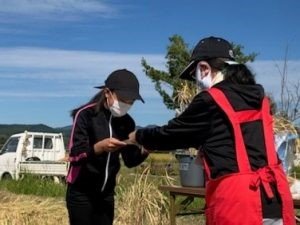 rice harvesting class 4.jpg