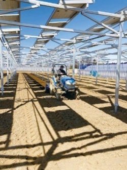 220720_Farm-based Solar Power Generation 2.jpgのサムネイル画像