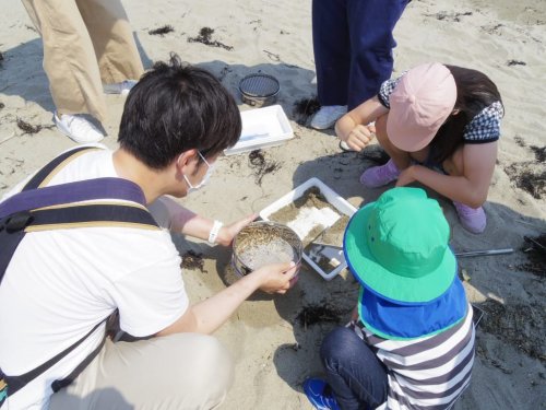 Toyama_Co-op_sea_shore_cleaning_5.jpg