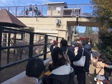 20230105_Kyoto_City_Zoo4.jpg