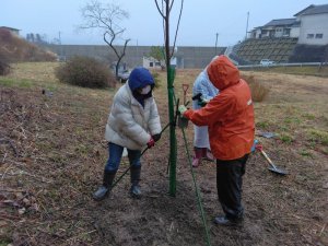 Iwate Co-op Board Members participate in 