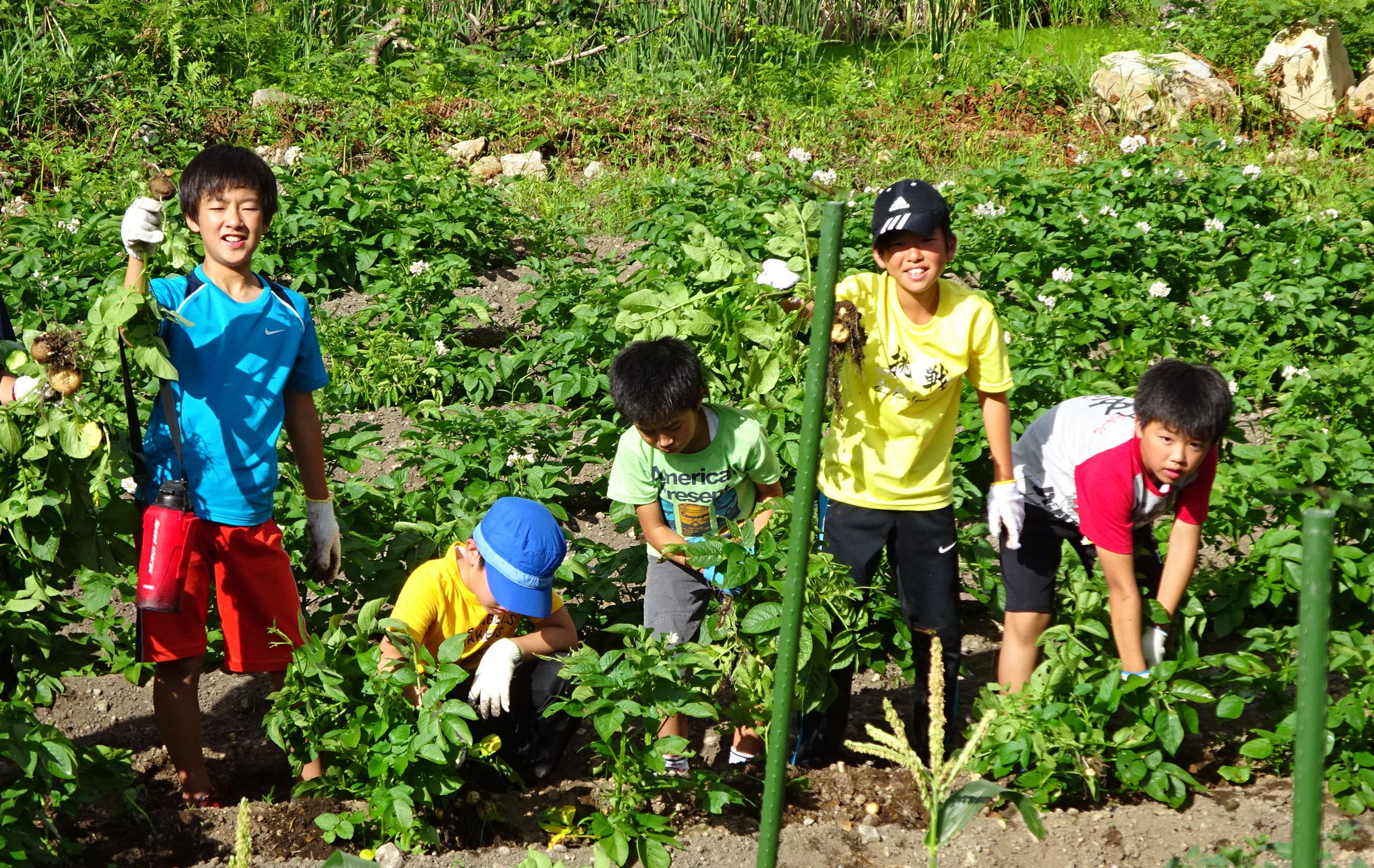 Fukushima Children's Recreation Project 2016