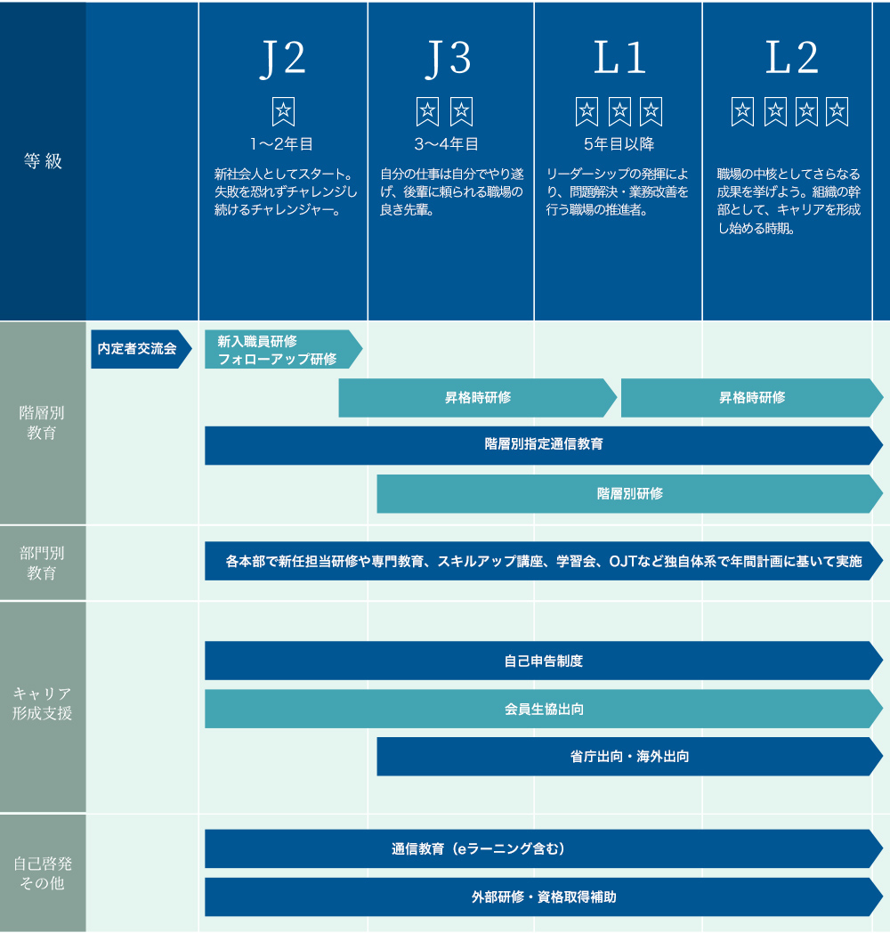 キャリアステップ図