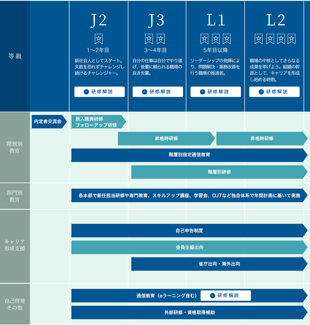 キャリアステップ図