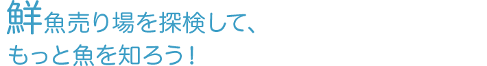 鮮魚売り場を探検して、もっと魚を知ろう！