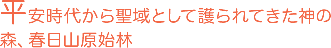 平安時代から聖域として護られてきた神の森、春日山原始林