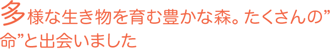 多様な生き物を育む豊かな森。たくさんの”命”と出会いました