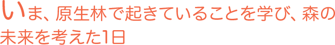 いま、原生林で起きていることを学び、森の未来を考えた1日