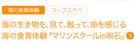 海の生き物を、見て、触って、命を感じる 海の食育体験「マリンスクールin明石」