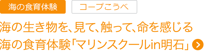 海の生き物を、見て、触って、命を感じる 海の食育体験「マリンスクールin明石」