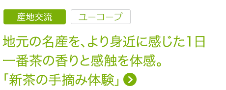 地元の名産を、より身近に感じた1日一番茶の香りと感触を体感。「新茶の手摘み体験」