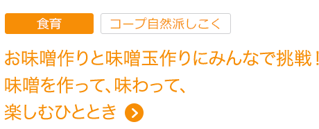 お味噌作りと味噌玉作りにみんなで挑戦！ 味噌を作って、味わって、楽しむひととき