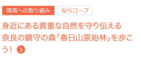 身近にある貴重な自然を守り伝える奈良の鎮守の森「春日山原始林」を歩こう！