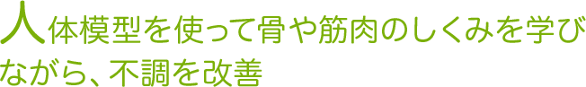 人体模型を使って骨や筋肉のしくみを学びながら、不調を改善