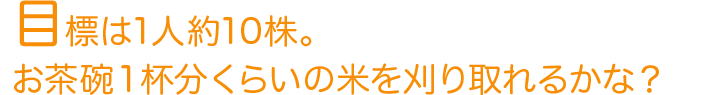 目標は1人約10株。お茶碗１杯分くらいの米を刈り取れるかな？
