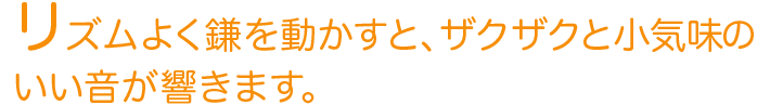 リズムよく鎌を動かすと、ザクザクと小気味のいい音が響きます。