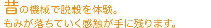 昔の機械で脱穀を体験。もみが落ちていく感触が手に残ります。