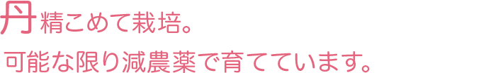 丹精こめて栽培。可能な限り減農薬で育てています。