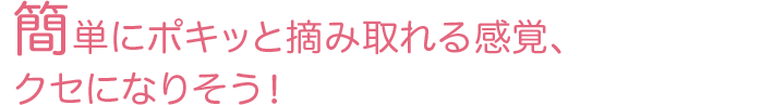 簡単にポキッと摘み取れる感覚、クセになりそう！