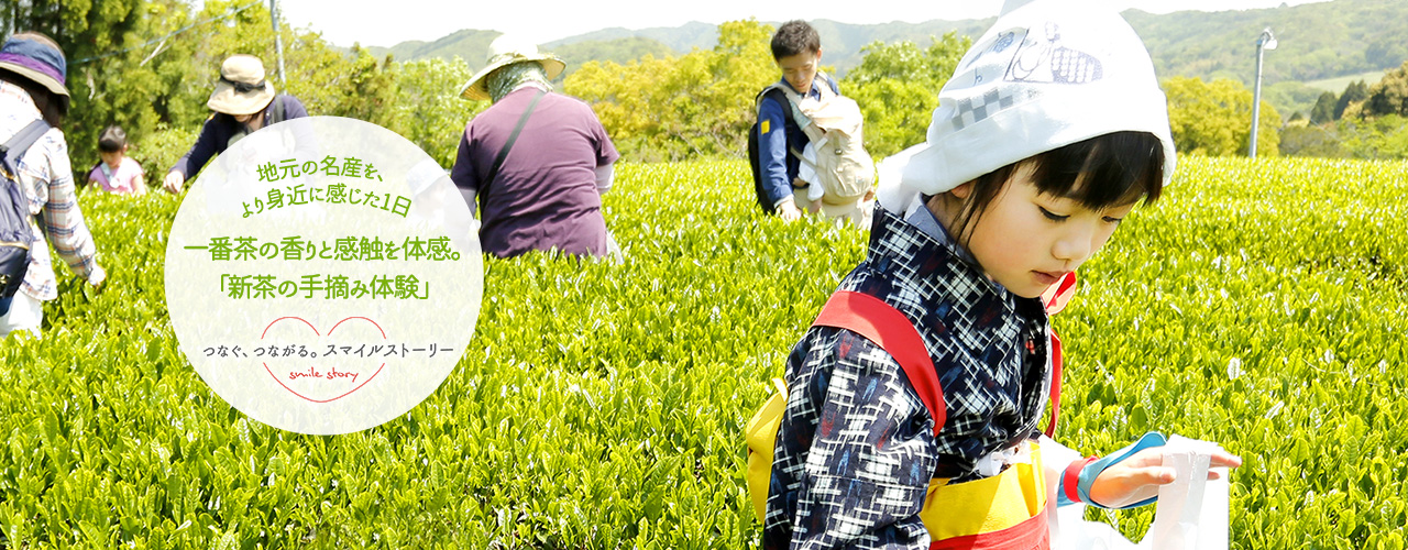 地元の名産を、より身近に感じた1日 一番茶の香りと感触を体感。「新茶の手摘み体験」