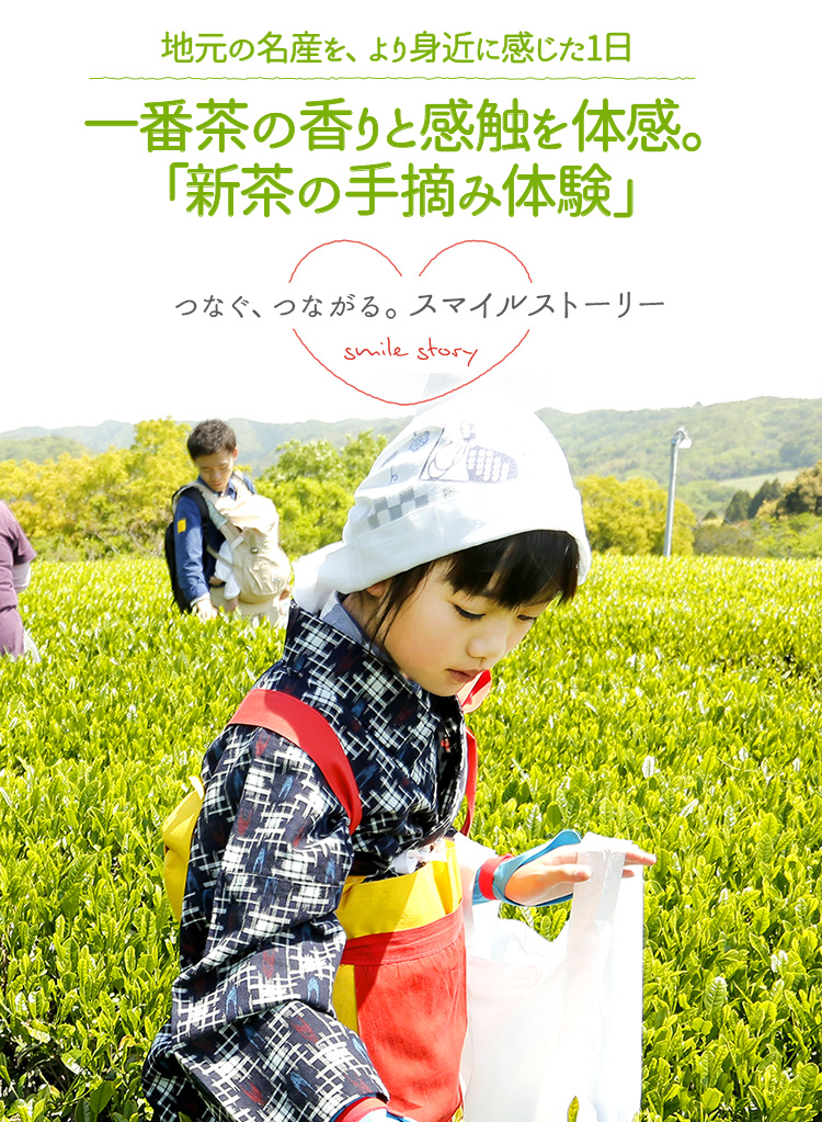 地元の名産を、より身近に感じた1日 一番茶の香りと感触を体感。「新茶の手摘み体験」