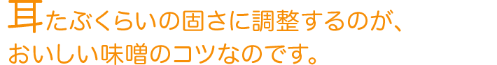 耳たぶくらいの固さに調整するのが、おいしい味噌のコツなのです。