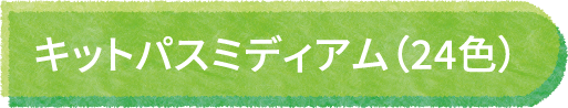 キットパスミディアム（24色）