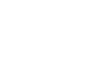 Lサイズ